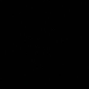 Meet your Posher, Luis